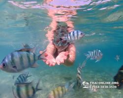 Underwater Odyssey snorkeling excursion Pattaya Thailand photo 11185