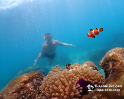 Underwater Odyssey snorkeling excursion in Pattaya Thailand photo 698