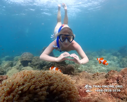 Underwater Odyssey snorkeling excursion Pattaya Thailand photo 11366