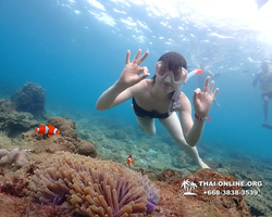 Underwater Odyssey snorkeling excursion Pattaya Thailand photo 11432