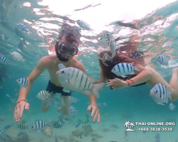 Underwater Odyssey snorkeling excursion in Pattaya Thailand photo 63