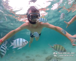 Underwater Odyssey snorkeling excursion in Pattaya Thailand photo 125