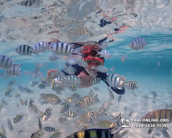 Underwater Odyssey snorkeling excursion in Pattaya Thailand photo 667