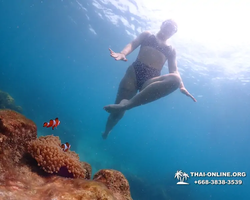 Underwater Odyssey snorkeling excursion in Pattaya Thailand photo 1046