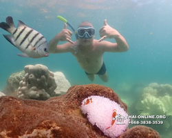 Underwater Odyssey snorkeling excursion Pattaya Thailand photo 19307