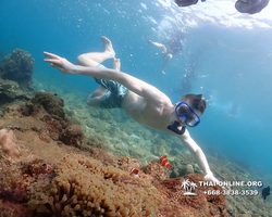 Underwater Odyssey snorkeling excursion Pattaya Thailand photo 11326