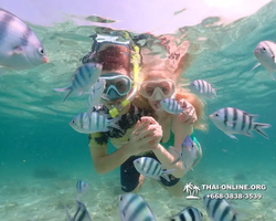 Underwater Odyssey snorkeling tour from Pattaya Thailand photo 18420