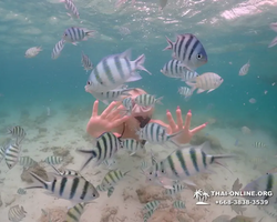 Underwater Odyssey snorkeling excursion in Pattaya Thailand photo 195