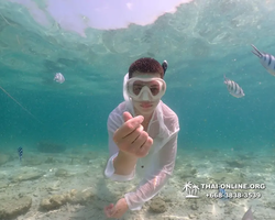Underwater Odyssey snorkeling tour from Pattaya Thailand photo 18675