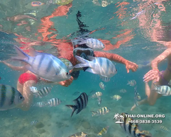 Underwater Odyssey snorkeling excursion Pattaya Thailand photo 11520