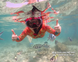 Underwater Odyssey snorkeling excursion Pattaya Thailand photo 14835