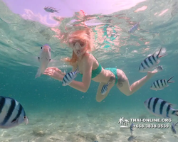 Underwater Odyssey snorkeling tour from Pattaya Thailand photo 18412