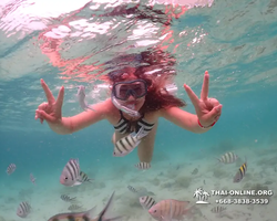 Underwater Odyssey snorkeling excursion in Pattaya Thailand photo 91