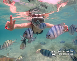 Underwater Odyssey snorkeling tour from Pattaya Thailand photo 14497