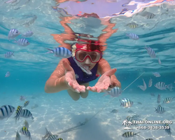 Underwater Odyssey snorkeling excursion in Pattaya Thailand photo 841