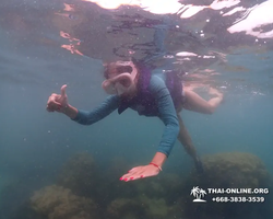 Underwater Odyssey snorkeling excursion in Pattaya Thailand photo 311