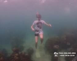 Underwater Odyssey snorkeling excursion in Pattaya Thailand photo 347