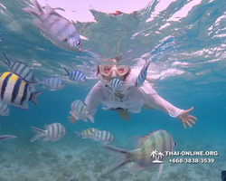 Underwater Odyssey snorkeling excursion Pattaya Thailand photo 11166