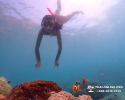 Underwater Odyssey snorkeling excursion in Pattaya Thailand photo 579