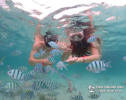 Underwater Odyssey snorkeling excursion in Pattaya Thailand photo 81