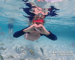 Underwater Odyssey snorkeling excursion in Pattaya Thailand photo 854