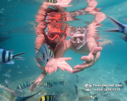 Underwater Odyssey snorkeling tour from Pattaya Thailand photo 14456