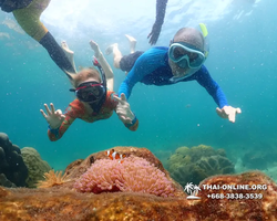 Underwater Odyssey snorkeling excursion Pattaya Thailand photo 14801