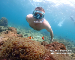 Underwater Odyssey snorkeling excursion Pattaya Thailand photo 11448