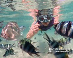 Underwater Odyssey snorkeling excursion Pattaya Thailand photo 19073