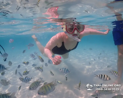 Underwater Odyssey snorkeling excursion in Pattaya Thailand photo 1006