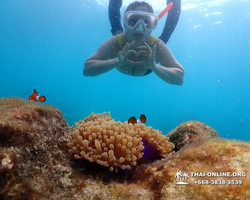 Underwater Odyssey snorkeling excursion in Pattaya Thailand photo 657