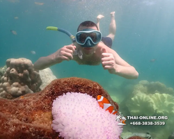 Underwater Odyssey snorkeling excursion Pattaya Thailand photo 19399