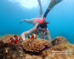 Underwater Odyssey snorkeling excursion in Pattaya Thailand photo 647