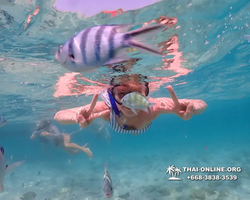 Underwater Odyssey snorkeling excursion Pattaya Thailand photo 11010