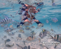 Underwater Odyssey snorkeling excursion in Pattaya Thailand photo 645