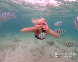 Underwater Odyssey snorkeling excursion in Pattaya Thailand photo 253