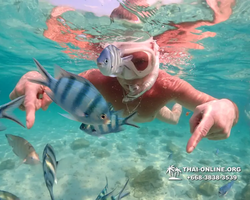 Underwater Odyssey snorkeling tour from Pattaya Thailand photo 14160