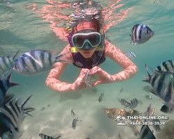 Underwater Odyssey snorkeling excursion Pattaya Thailand photo 19153