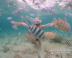 Underwater Odyssey snorkeling excursion in Pattaya Thailand photo 109