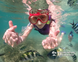 Underwater Odyssey snorkeling excursion Pattaya Thailand photo 19217