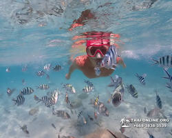 Underwater Odyssey snorkeling excursion in Pattaya Thailand photo 449