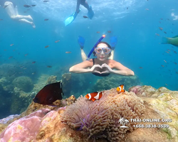 Underwater Odyssey snorkeling excursion Pattaya Thailand photo 11575