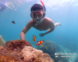 Underwater Odyssey snorkeling excursion in Pattaya Thailand photo 505