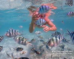 Underwater Odyssey snorkeling excursion in Pattaya Thailand photo 432