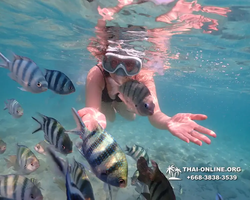 Underwater Odyssey snorkeling tour from Pattaya Thailand photo 14243