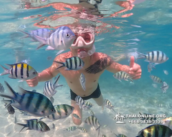Underwater Odyssey snorkeling excursion Pattaya Thailand photo 11288