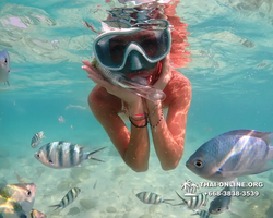 Underwater Odyssey snorkeling tour from Pattaya Thailand photo 14182