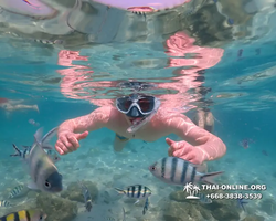 Underwater Odyssey snorkeling tour from Pattaya Thailand photo 14356