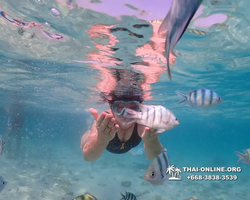 Underwater Odyssey snorkeling excursion Pattaya Thailand photo 11032