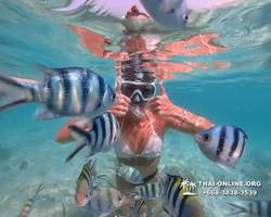 Underwater Odyssey snorkeling tour from Pattaya Thailand photo 14408
